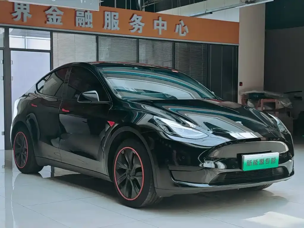 Tesla Model Y — фото 7