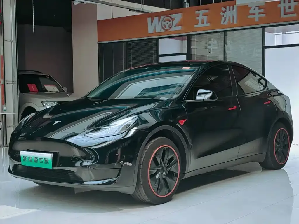 Tesla Model Y — фото 10