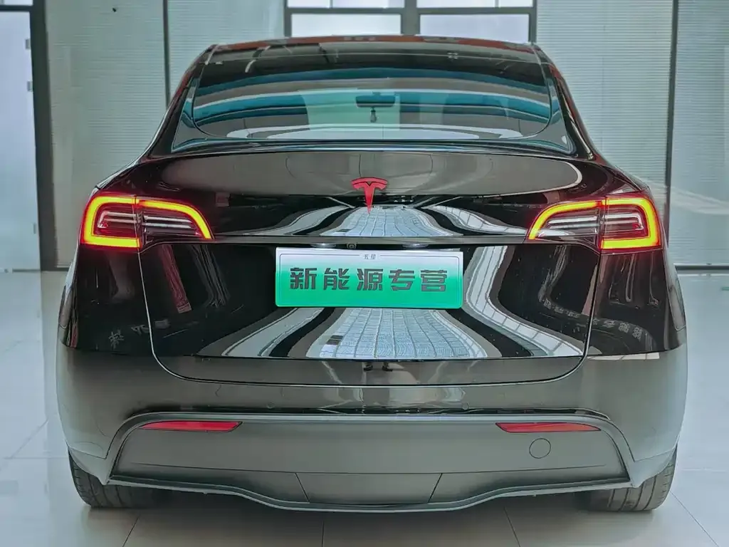 Tesla Model Y — фото 9