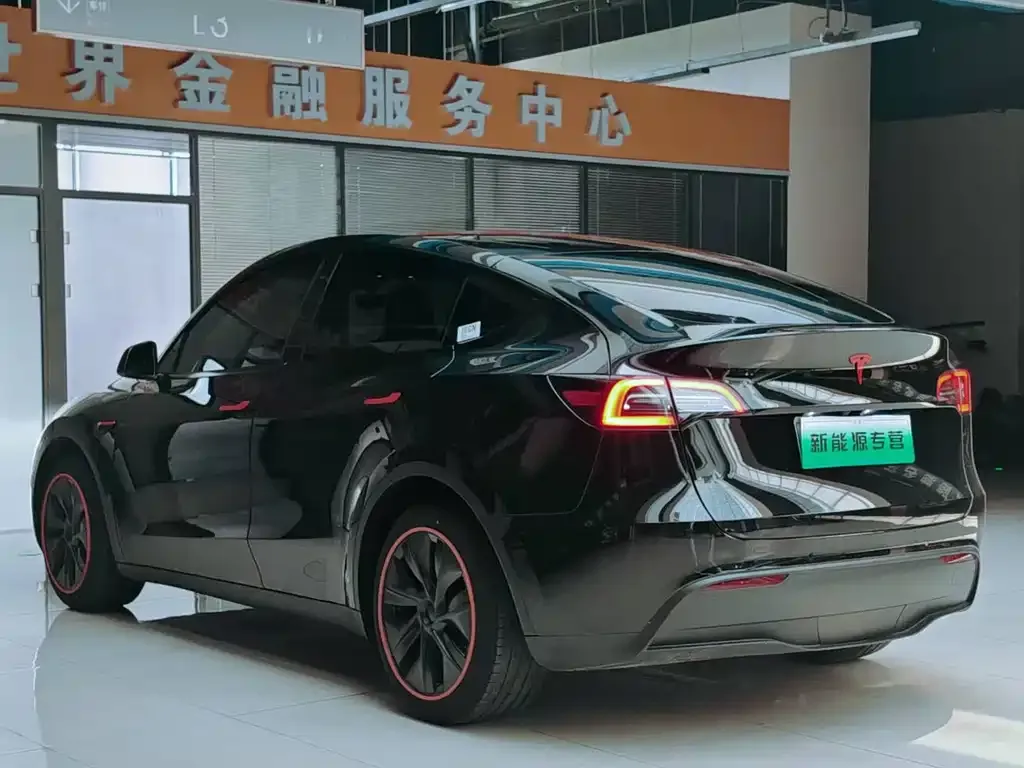 Tesla Model Y — фото 3