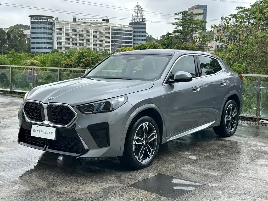 BMW X2 (Import) — фото 1
