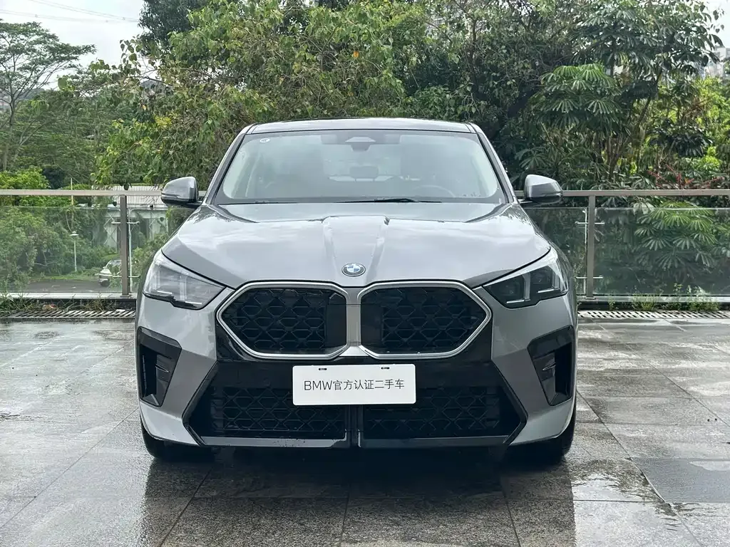 BMW X2 (Import) — фото 10