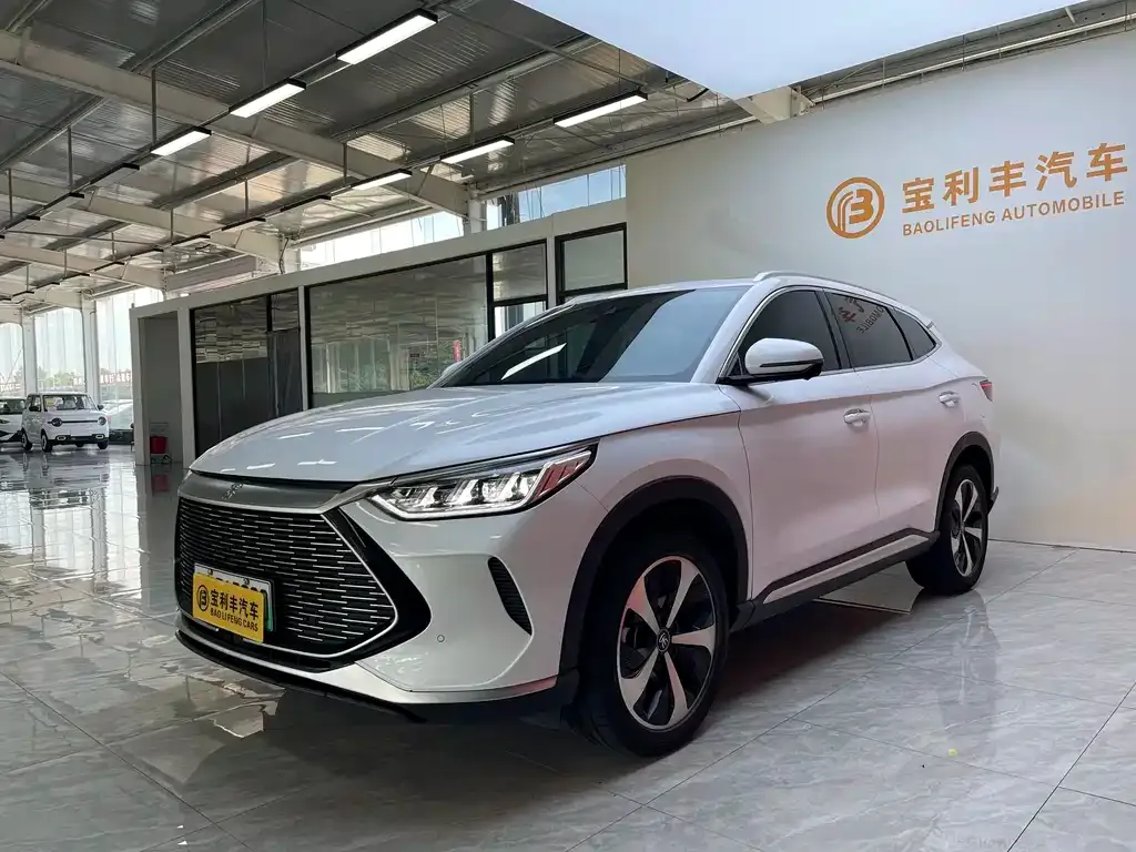 BYD PLUS New Energy — фото 1