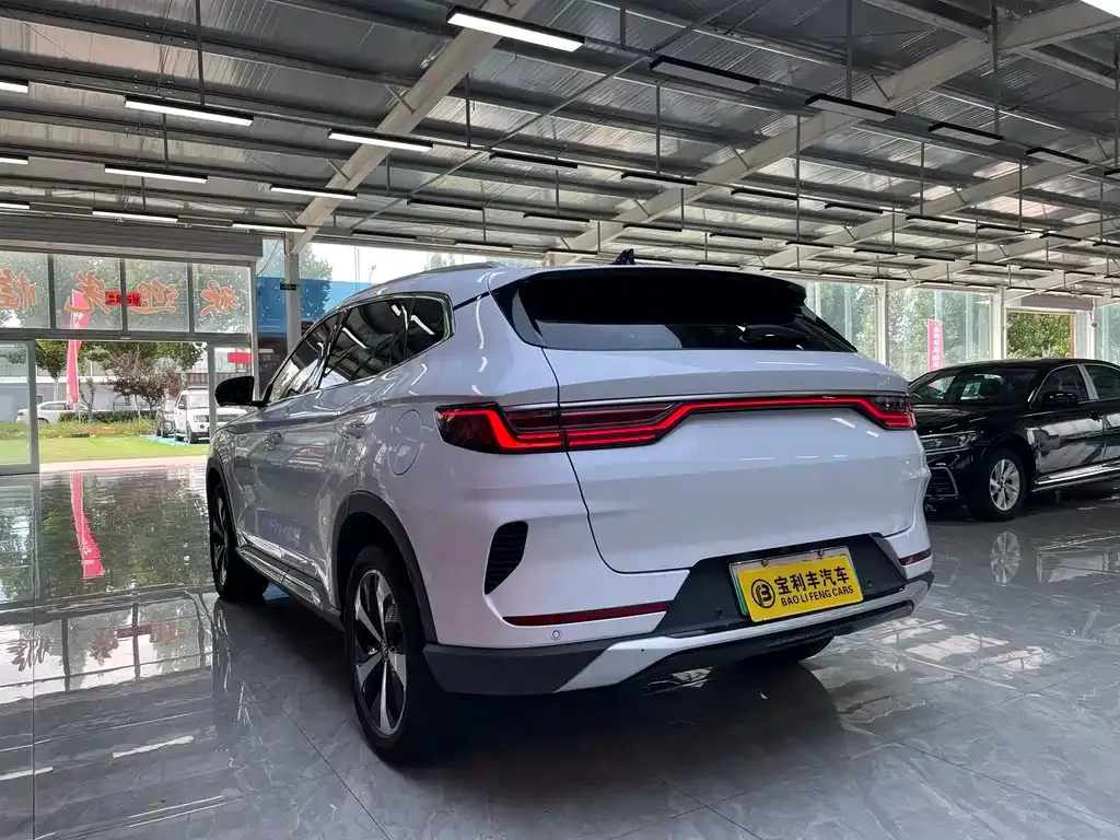 BYD PLUS New Energy — фото 10