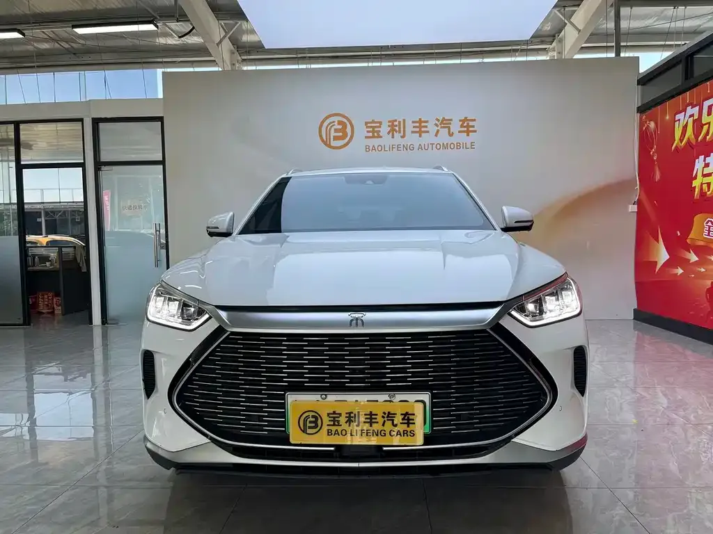 BYD PLUS New Energy — фото 4
