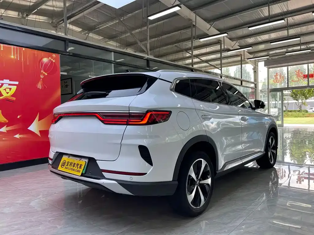 BYD PLUS New Energy — фото 3