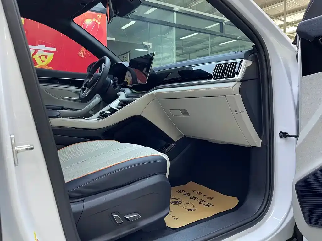 BYD PLUS New Energy — фото 8