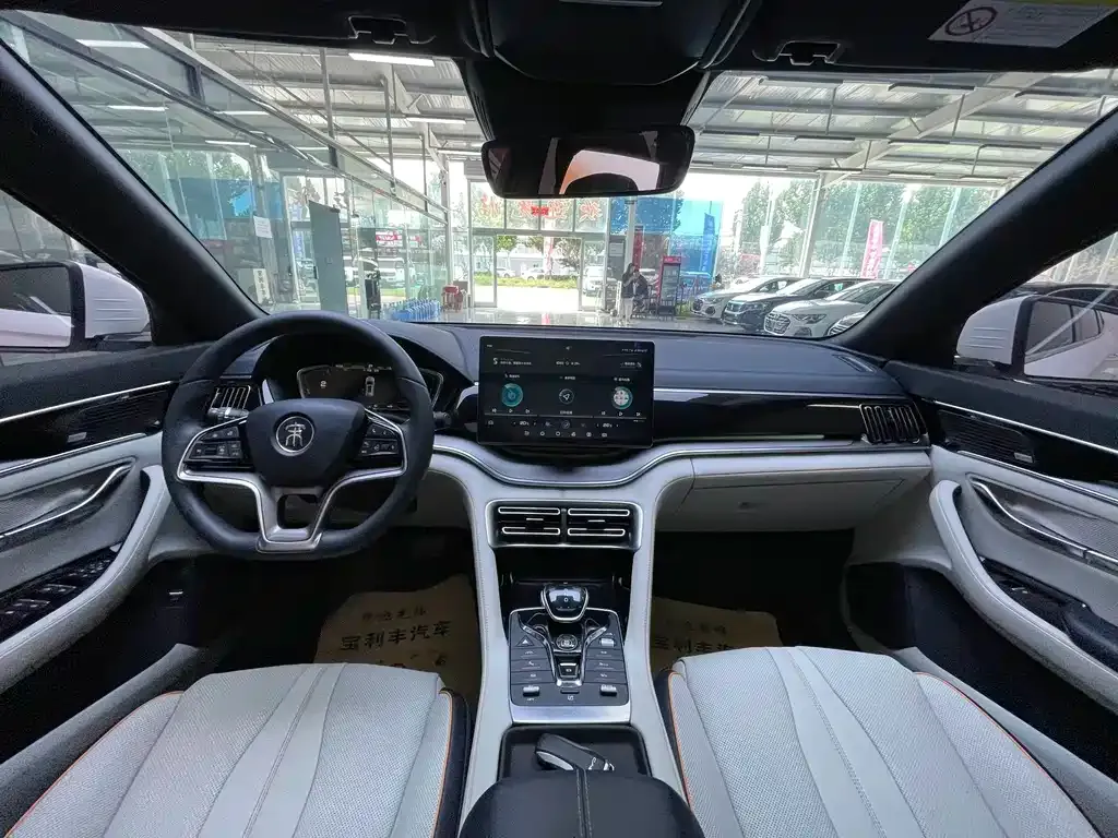 BYD PLUS New Energy — фото 7