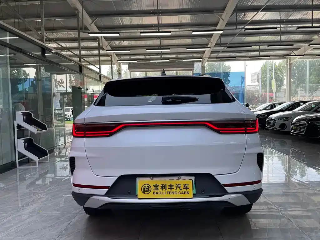 BYD PLUS New Energy — фото 9