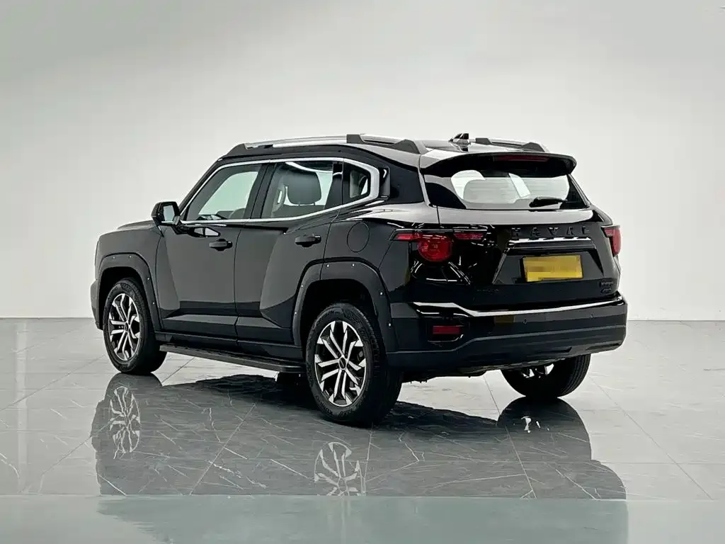 Haval H7 (Big Dog Plus) — фото 9