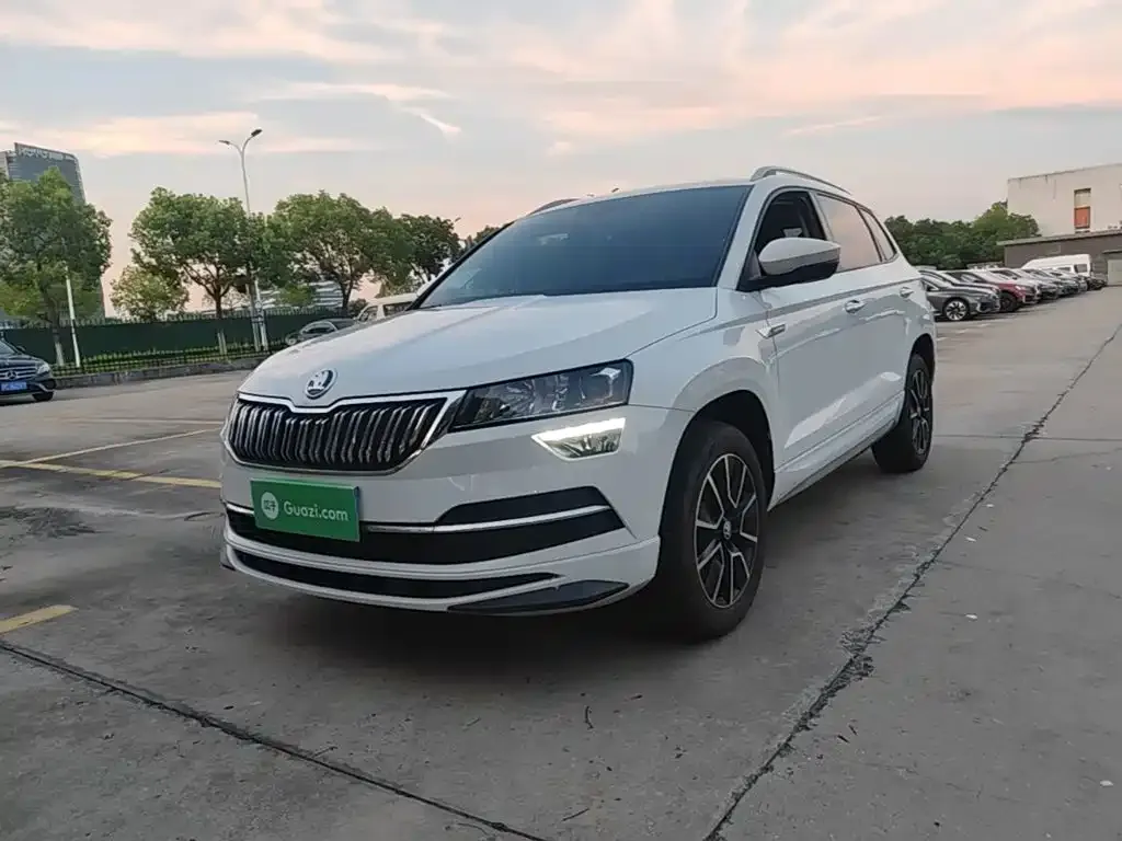 Skoda Karoq — фото 9