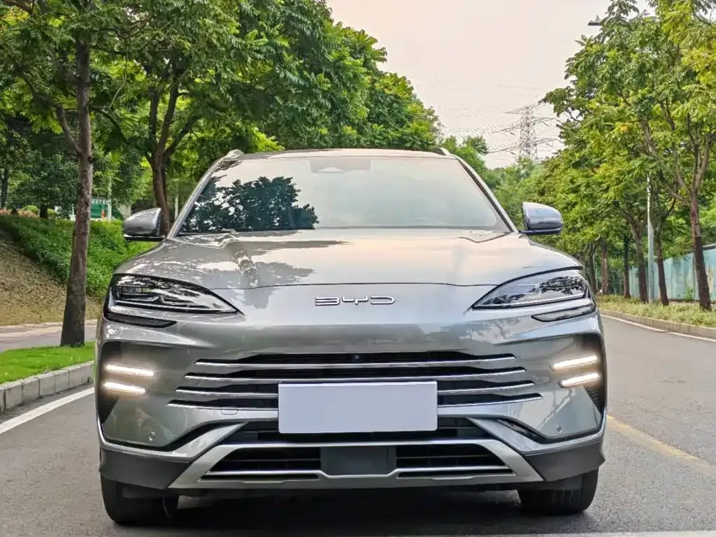 BYD PLUS New Energy — фото 7