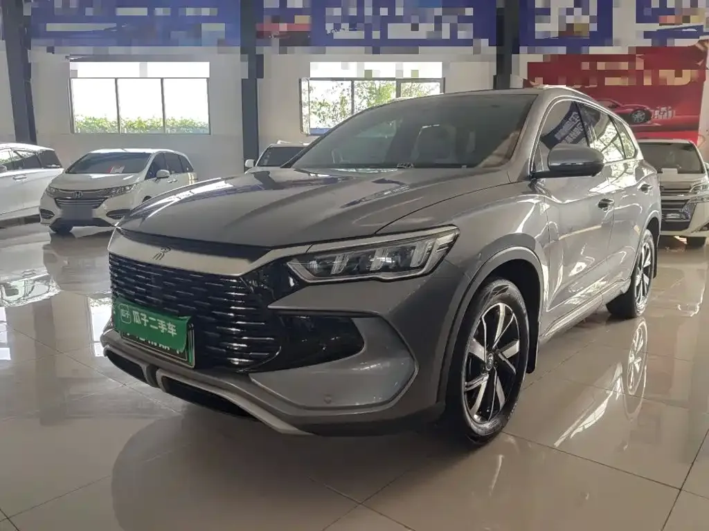 BYD Pro New Energy — фото 1