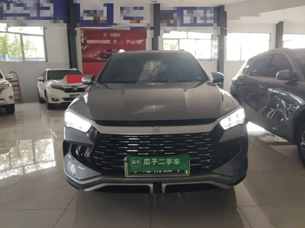 BYD Pro New Energy — фото 9