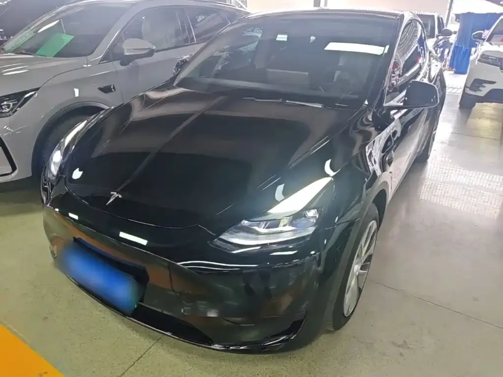 Tesla Model Y — фото 2