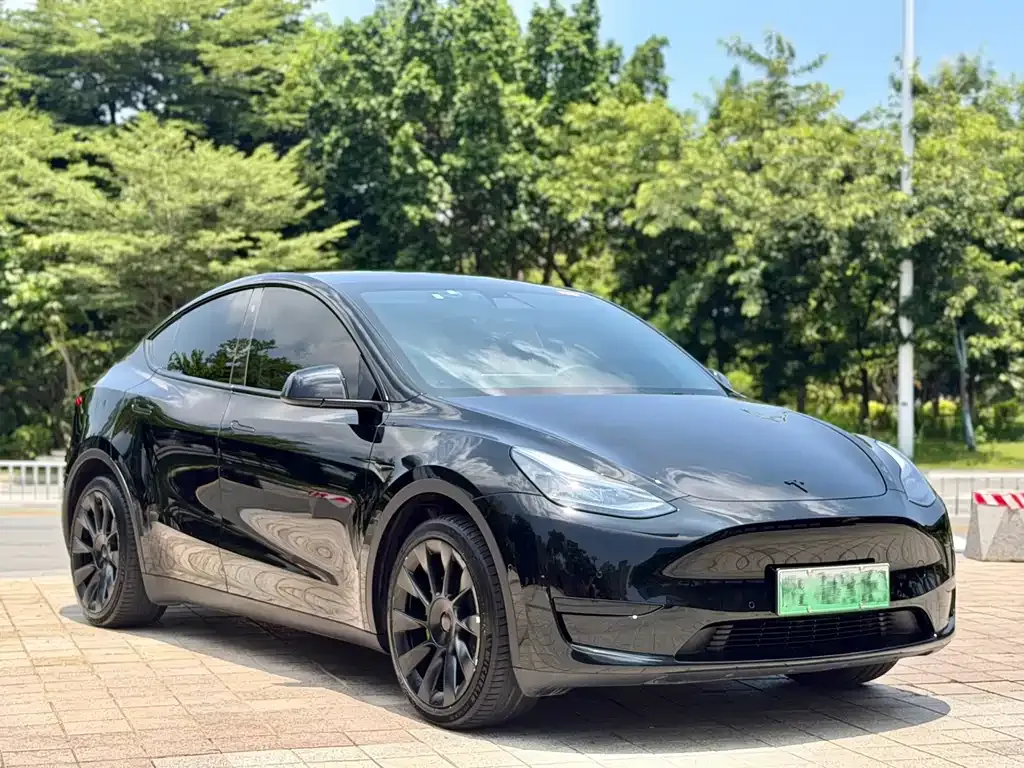 Tesla Model Y — фото 1