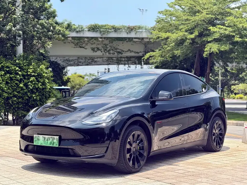 Tesla Model Y — фото 7