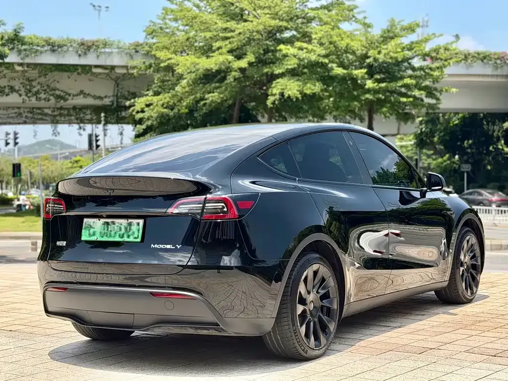 Tesla Model Y — фото 9