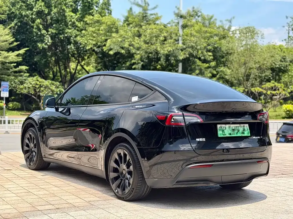 Tesla Model Y — фото 2