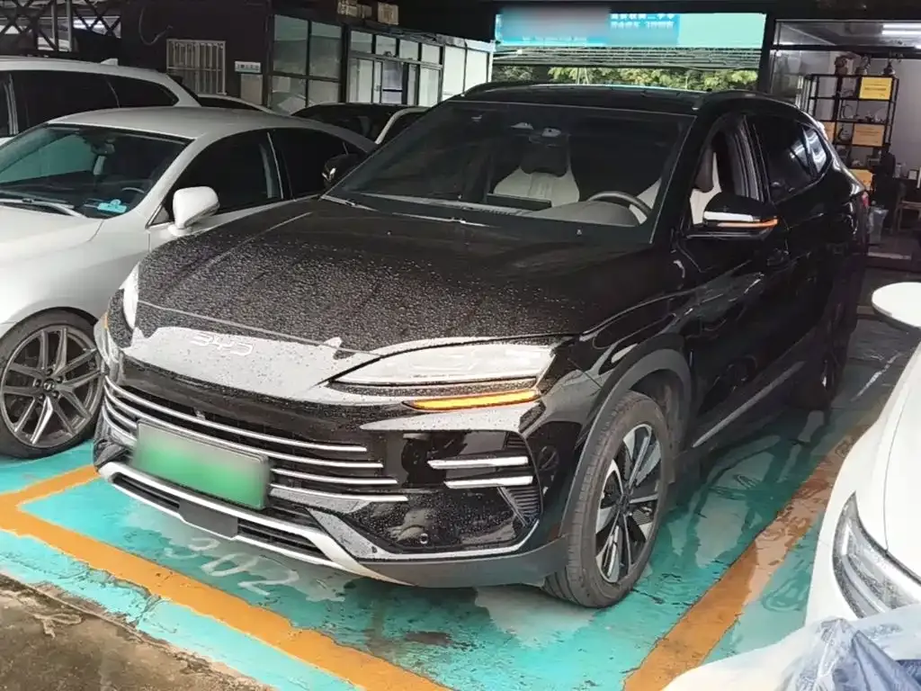 BYD PLUS New Energy — фото 1