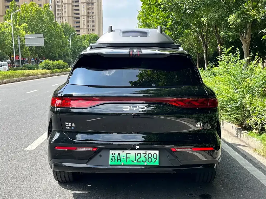 BYD Tang L — фото 8