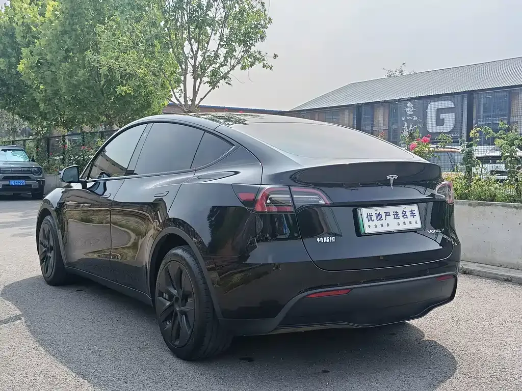 Tesla Model Y — фото 10