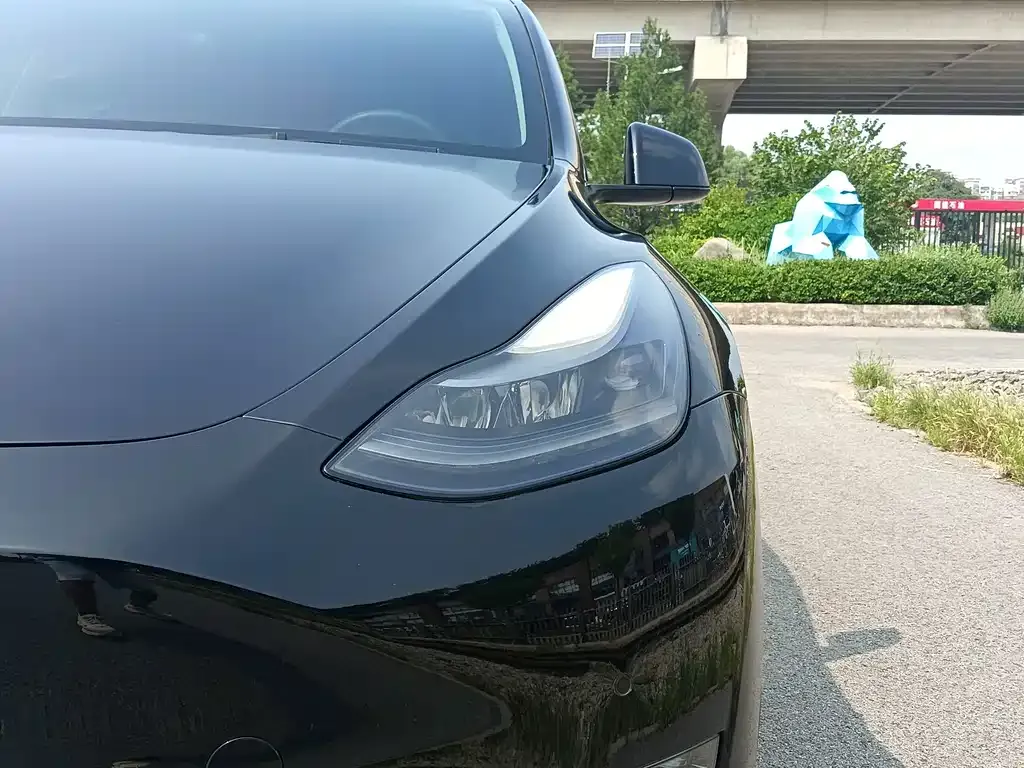 Tesla Model Y — фото 3