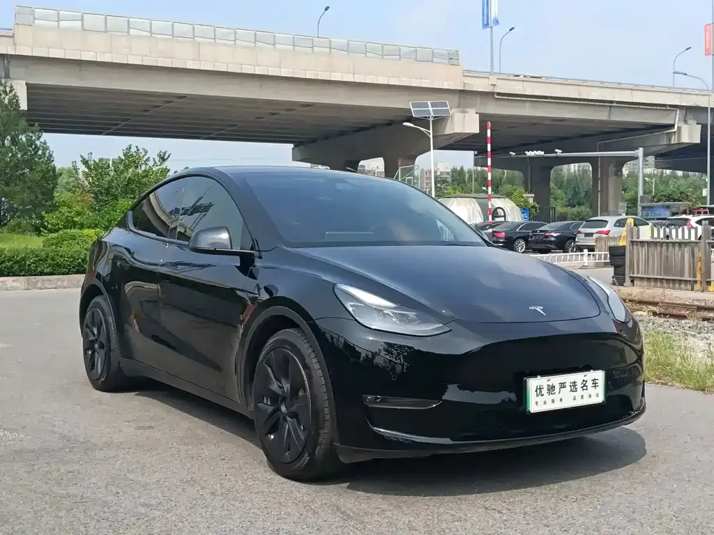 Tesla Model Y — фото 2