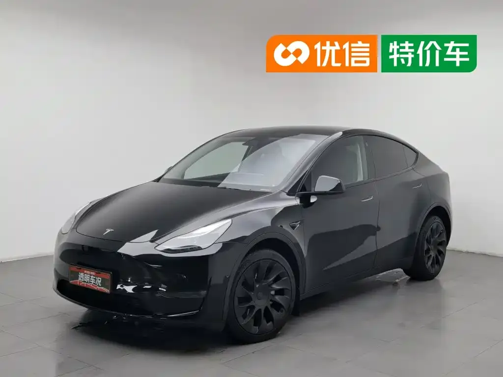 Tesla Model Y — фото 1