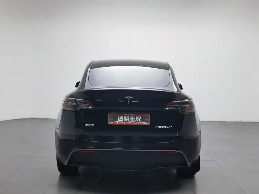 Tesla Model Y — фото 5