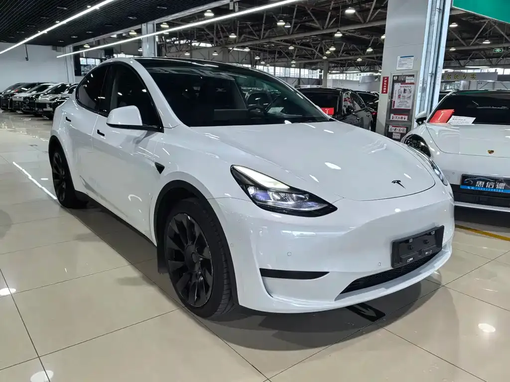 Tesla Model Y — фото 1