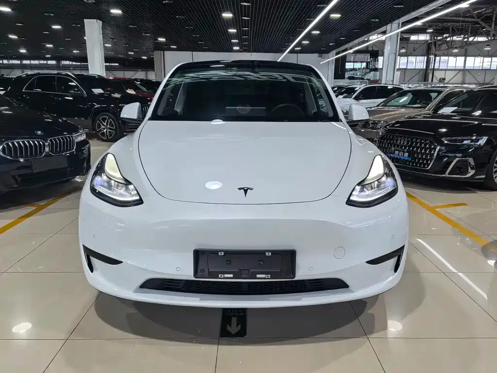 Tesla Model Y — фото 9
