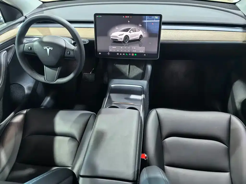 Tesla Model Y — фото 5