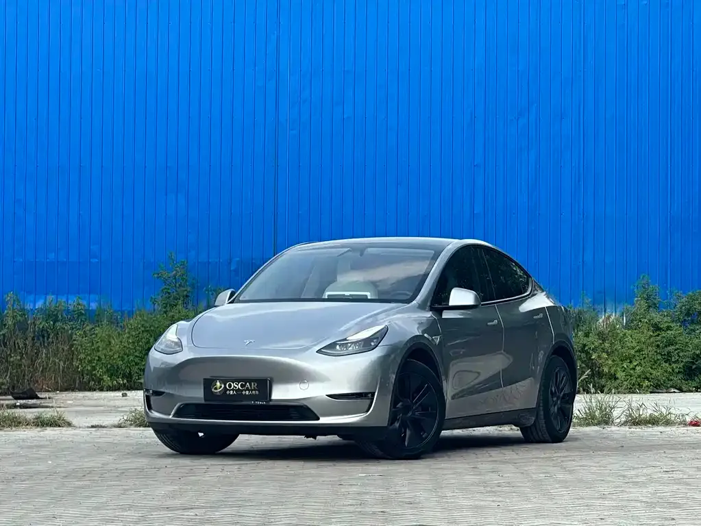 Tesla Model Y — фото 1