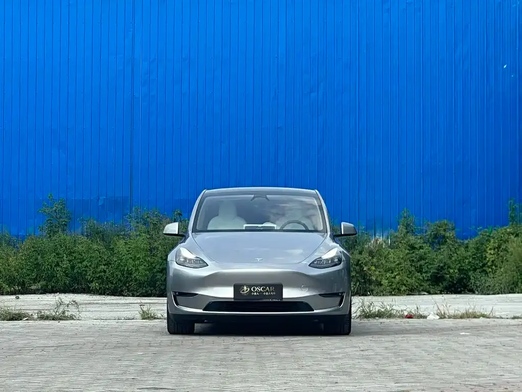 Tesla Model Y — фото 9