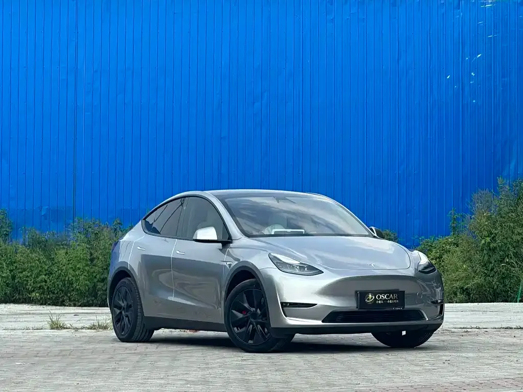 Tesla Model Y — фото 8