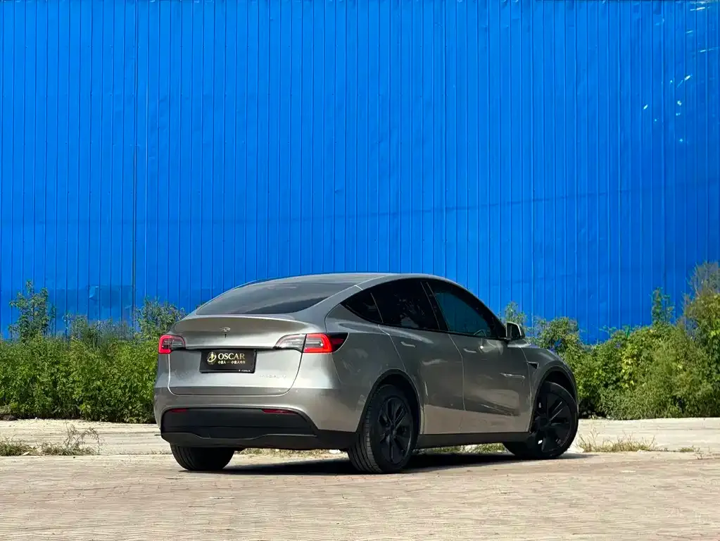 Tesla Model Y — фото 3