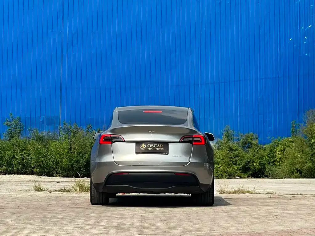 Tesla Model Y — фото 6