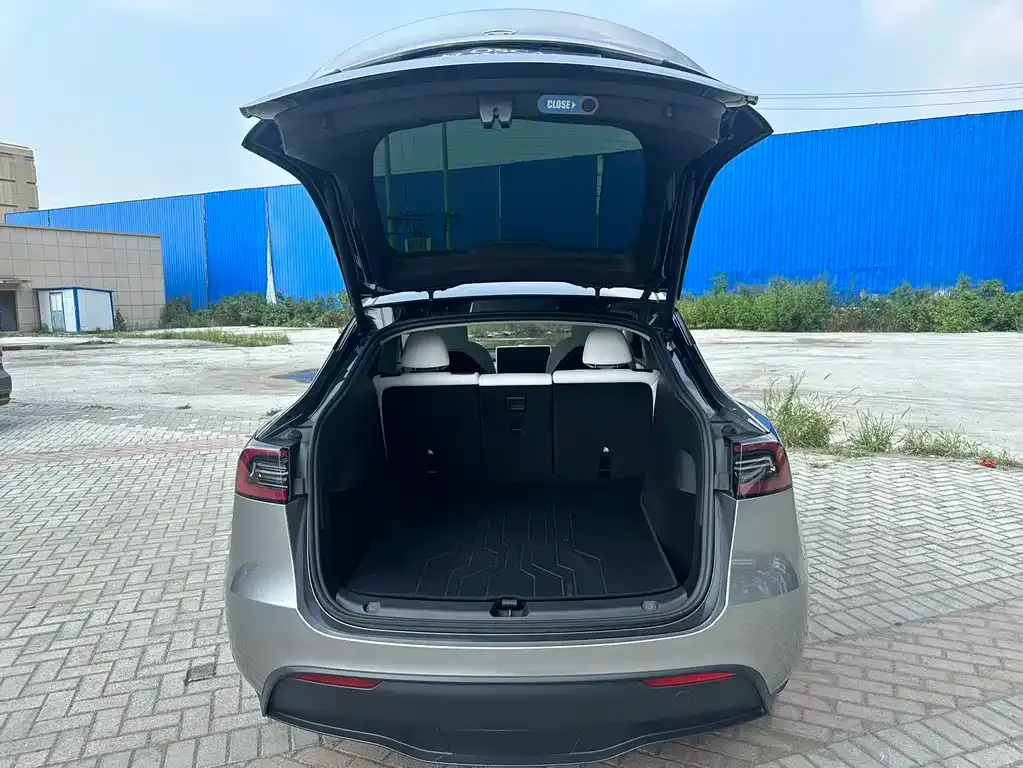Tesla Model Y — фото 2