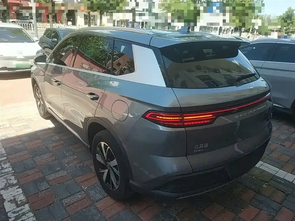 BYD Pro New Energy — фото 8