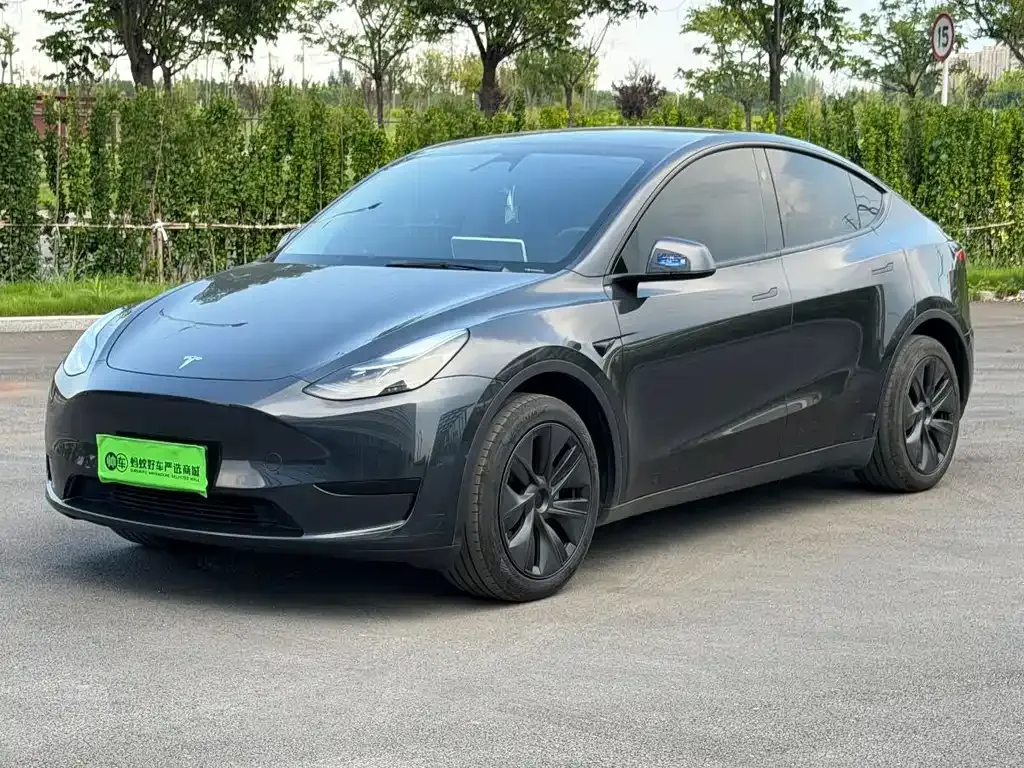 Tesla Model Y — фото 1