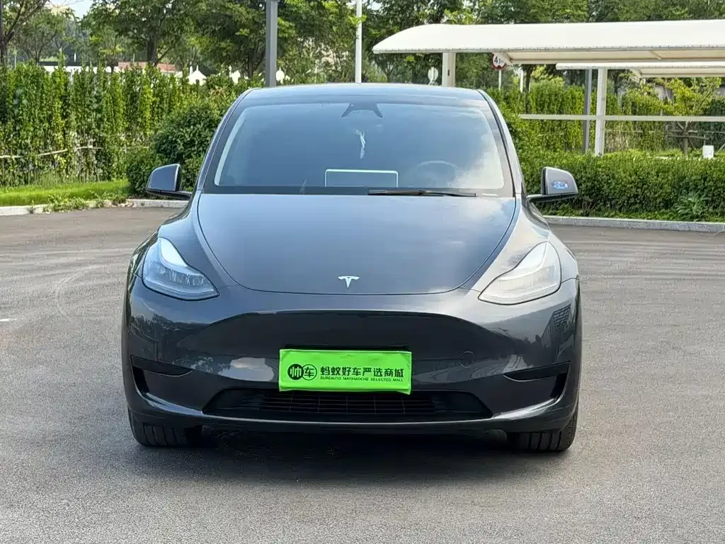 Tesla Model Y — фото 8