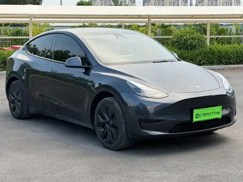 Tesla Model Y — фото 3