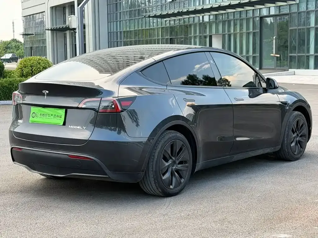 Tesla Model Y — фото 10