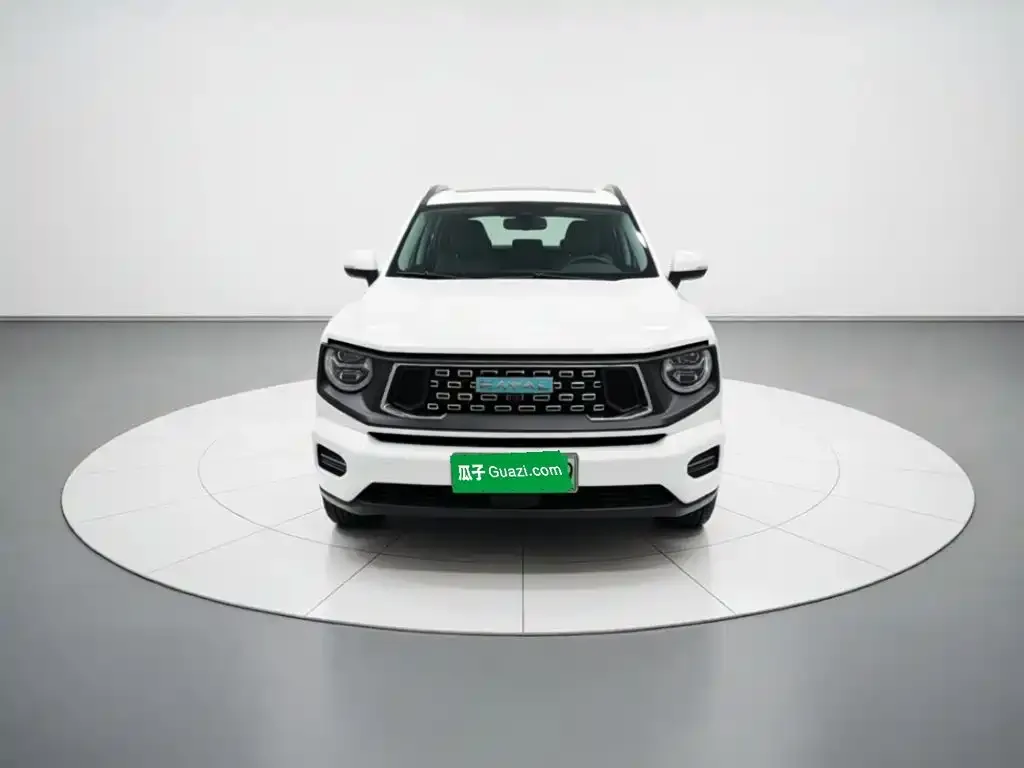 Haval H7 (Big Dog Plus) New Energy — фото 6