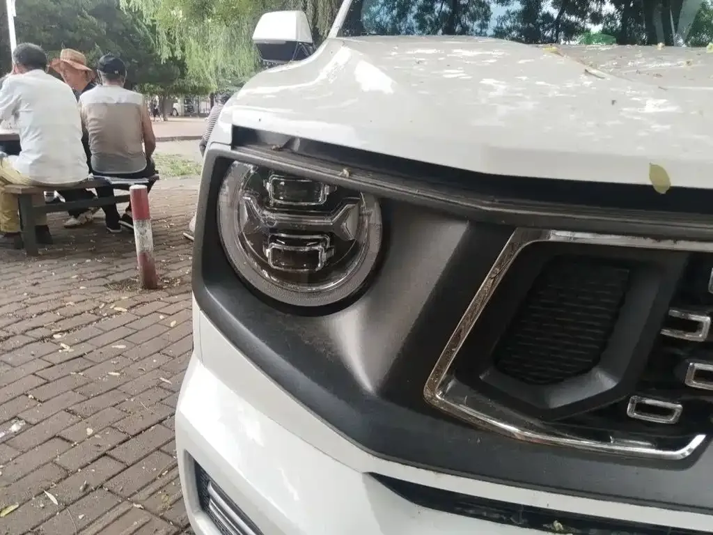 Haval H7 (Big Dog Plus) New Energy — фото 9