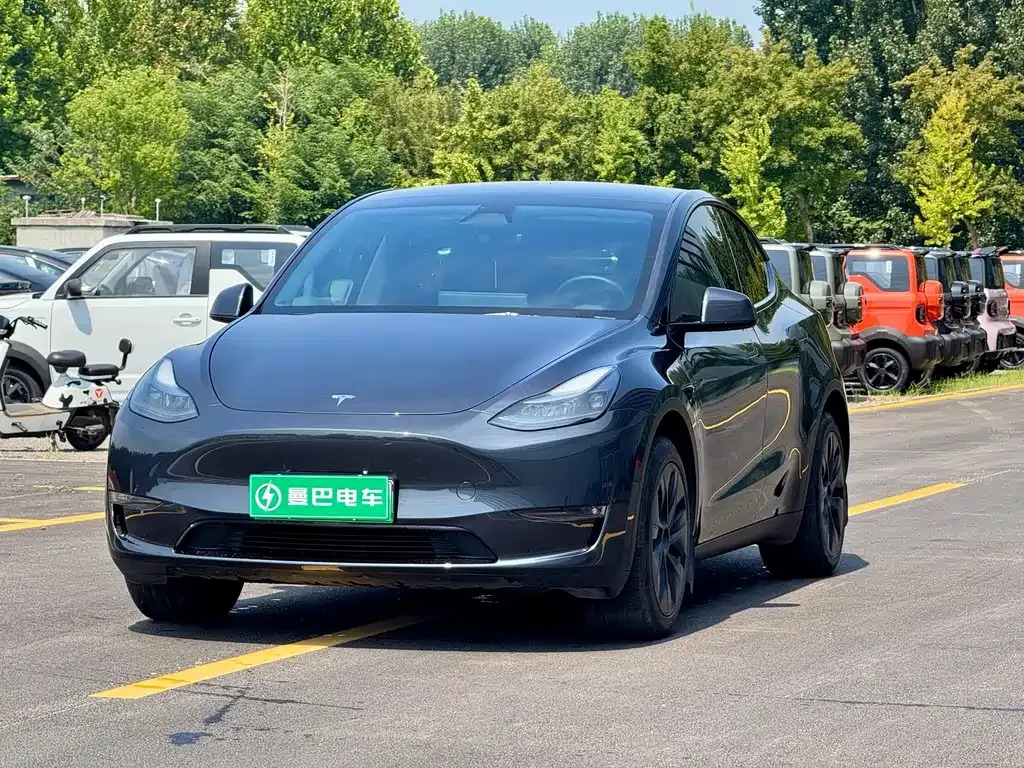 Tesla Model Y — фото 1