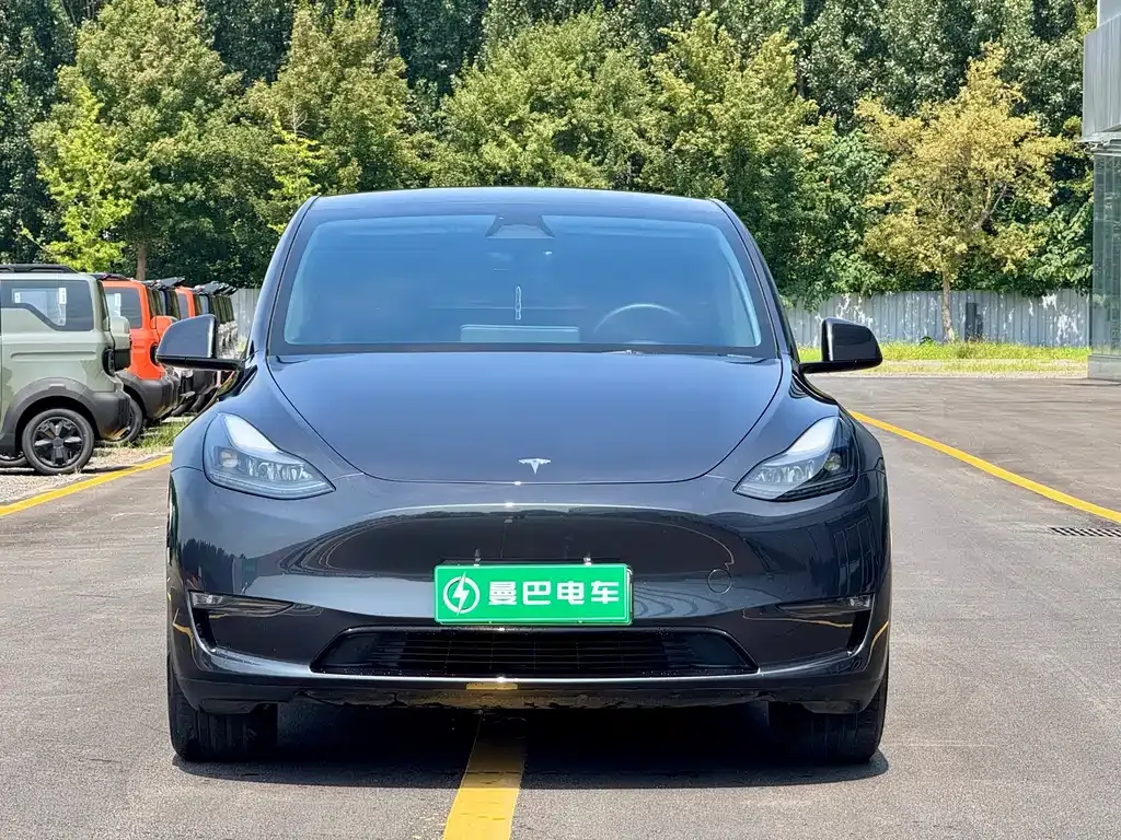 Tesla Model Y — фото 5