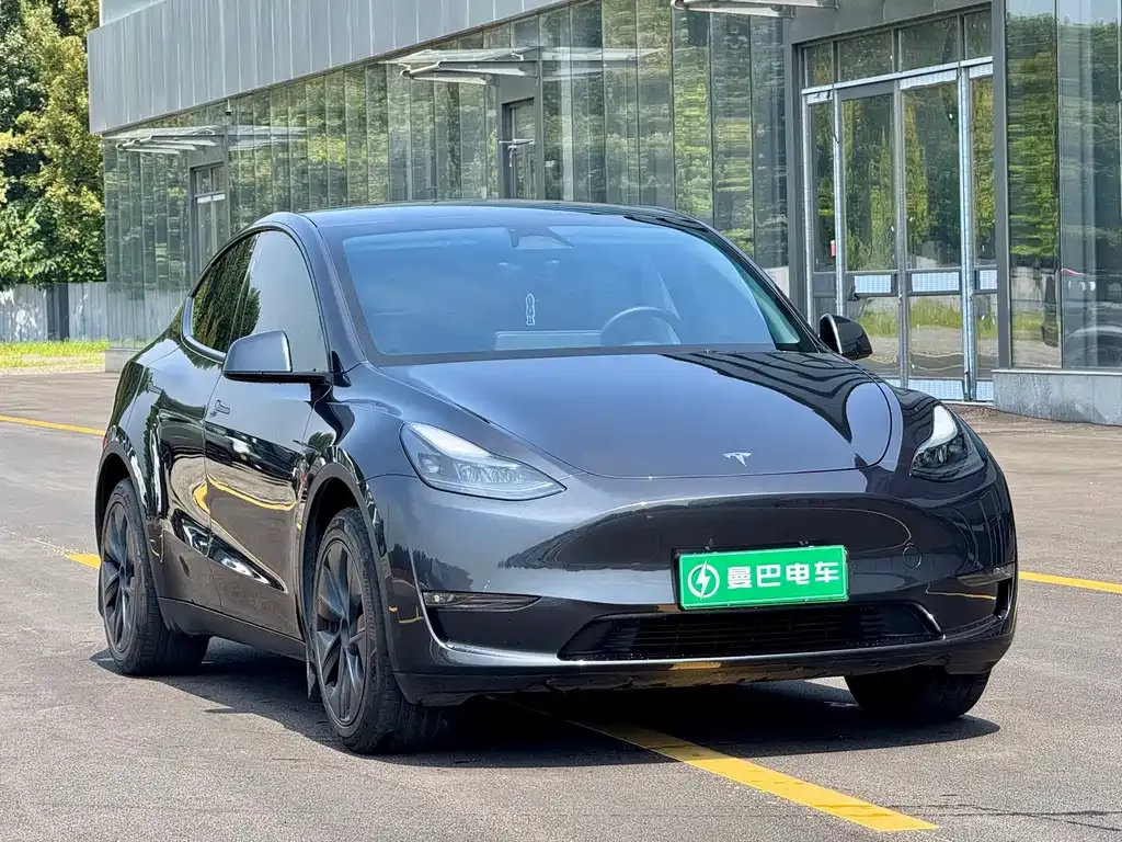 Tesla Model Y — фото 10