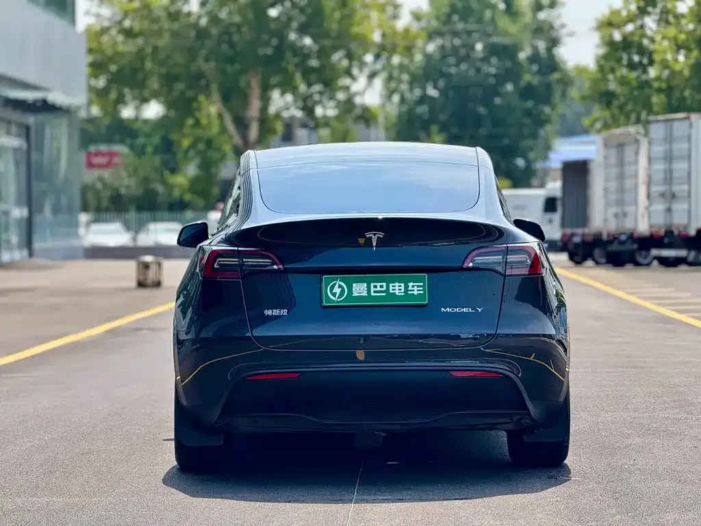Tesla Model Y — фото 7